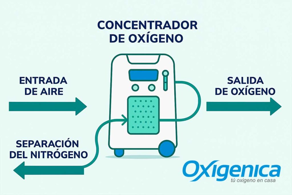 Diagrama de concentrador de oxígeno mostrando flujo de aire y separación de nitrógeno.